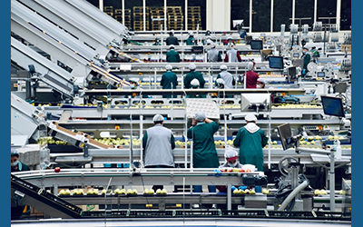 Understanding the Benefits of Ergonomic Equipment in the Workplace